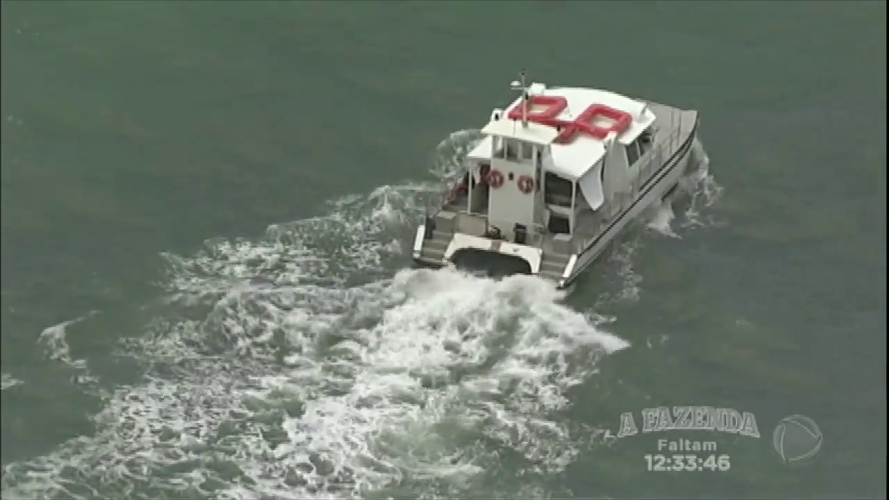 Baleia bate em catamarã na travessia entre Morro de São Paulo e Salvador