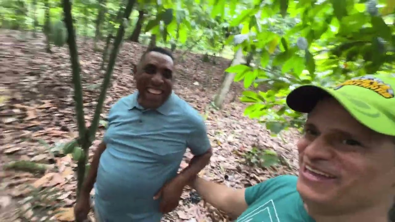 Recorrido de la mandarina República Dominicana 🇩🇴 