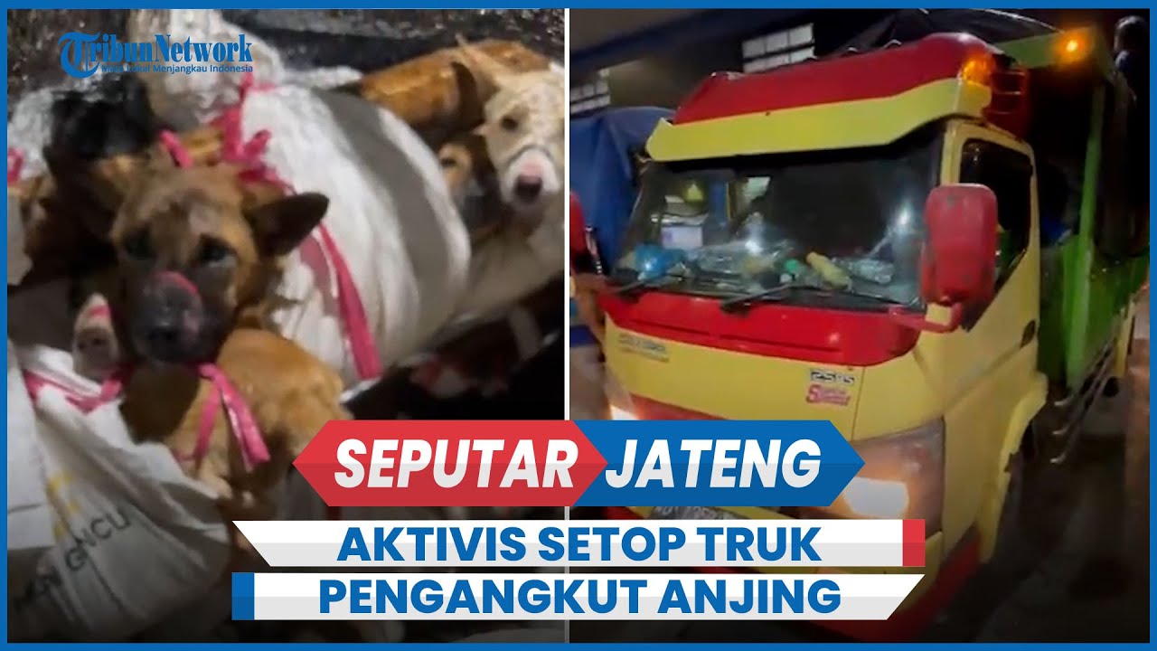 Aktivis Setop Truk Pengangkut Anjing di GT Kalikangkung Semarang