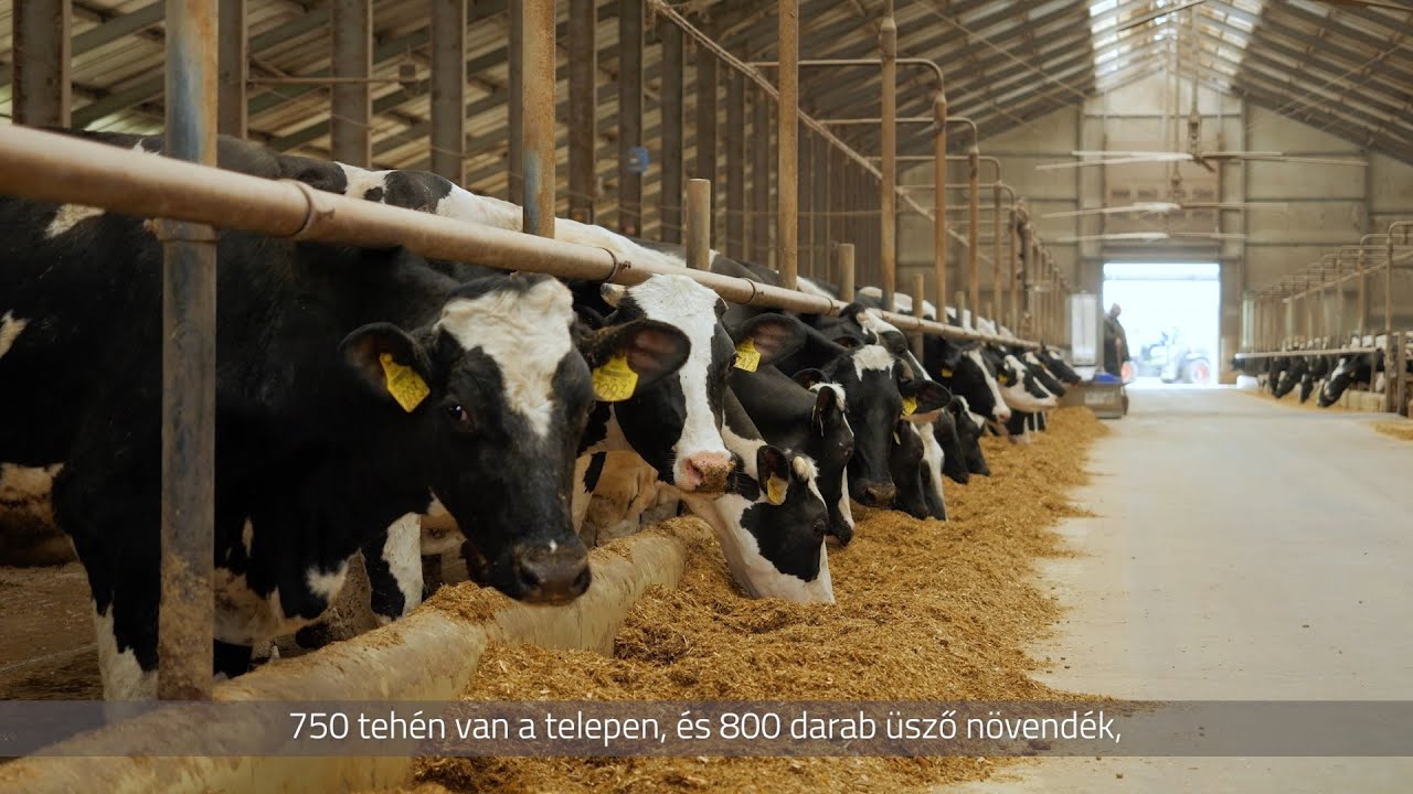 Üzemlátogatáson a Zsadányi Malom 97 Kft.-nél – bővebb változat, további érdekességekkel