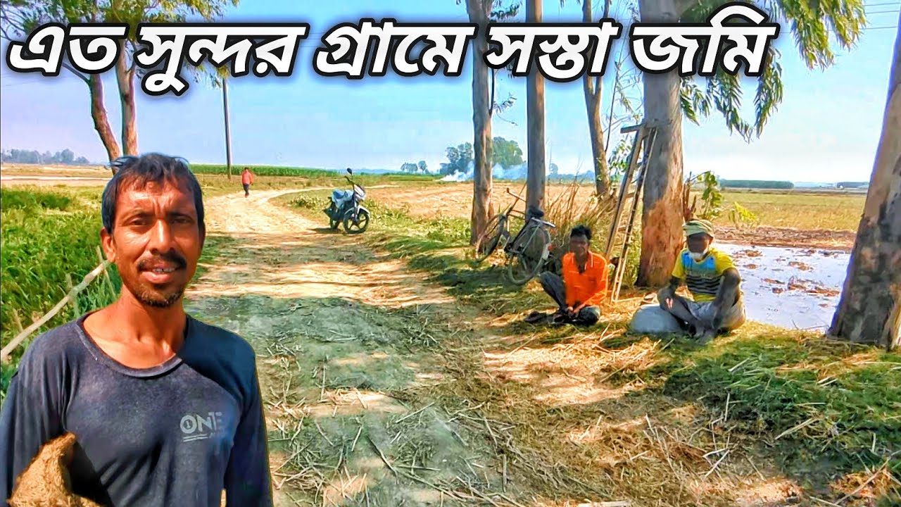 এত সুন্দর গ্রামে জায়গা জমির দাম এত কম | সুন্দর এই গ্রামে জমি কিনে বাড়ি করতে পারেন | Grammo Jibon
