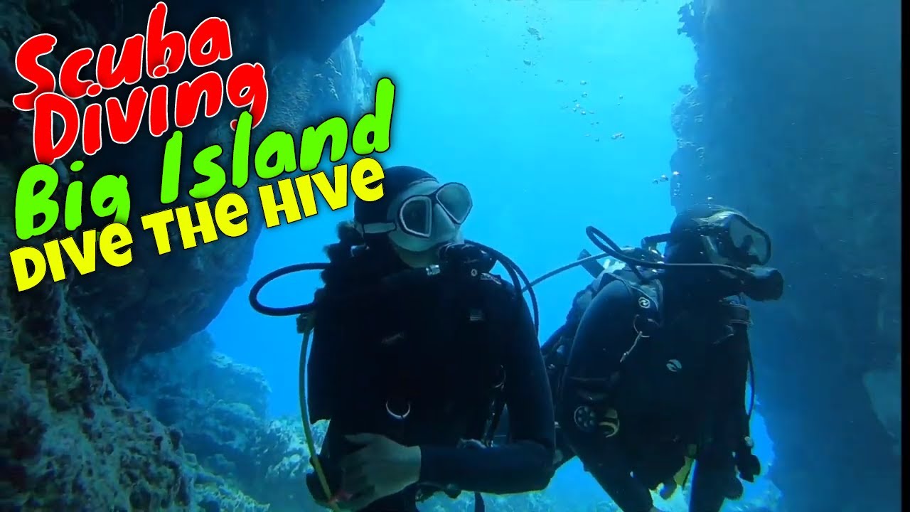 Big Island Scuba Diving - The Hive | Kona Honu Divers