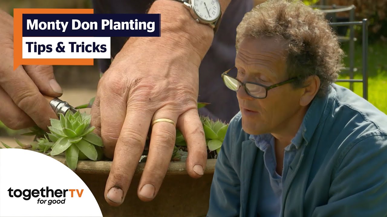 Monty Don's Tips And Tricks On Gardening and Planting | Big Dreams, Small Spaces | Compilation