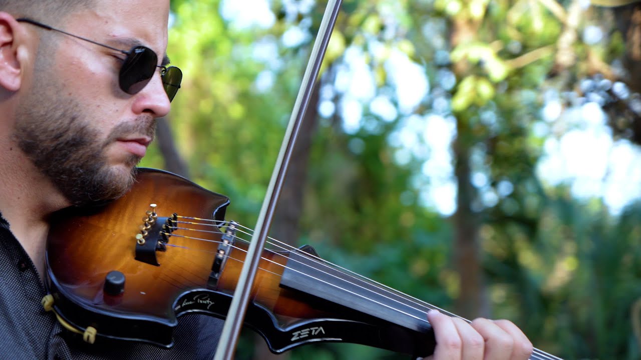 Make You Feel My Love l Violin Cover