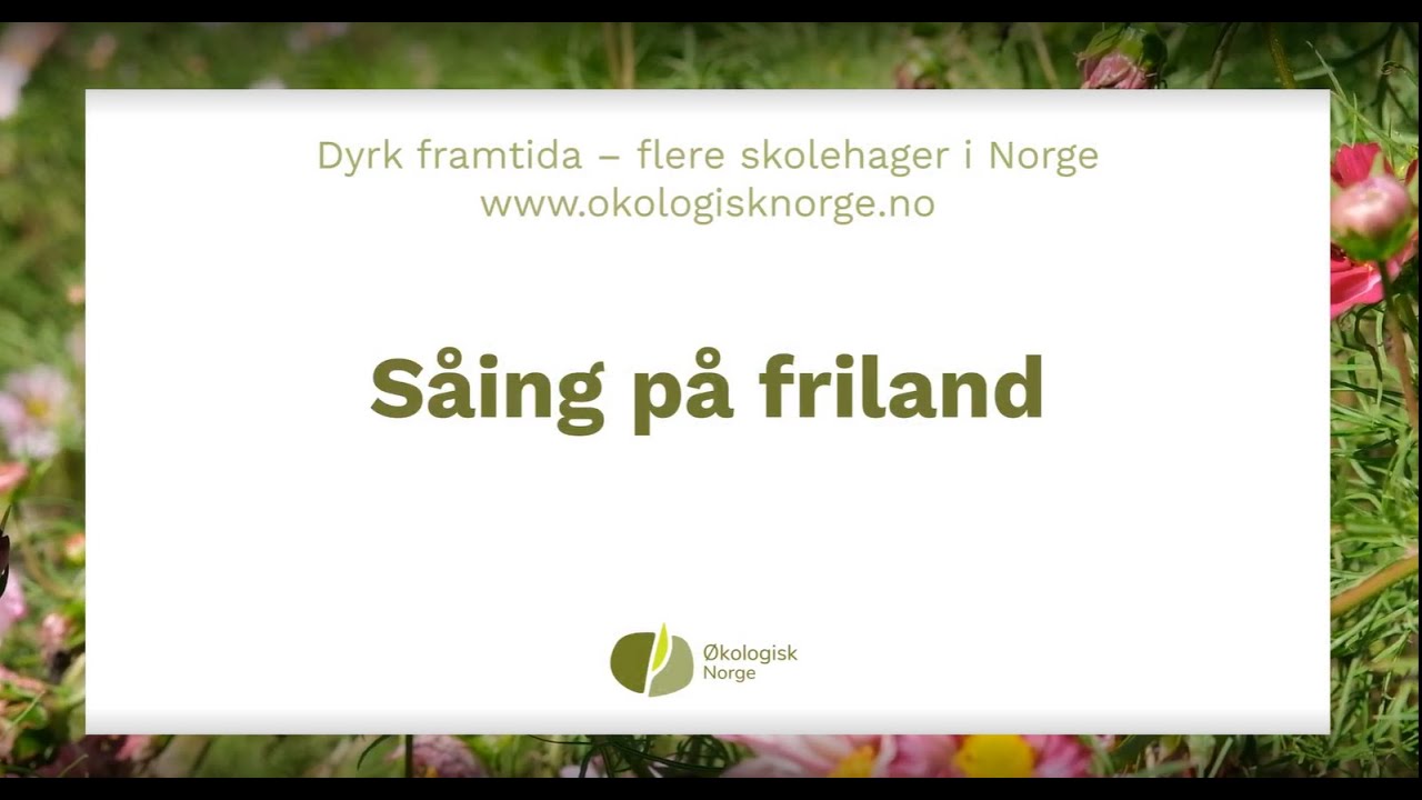 Såing på friland