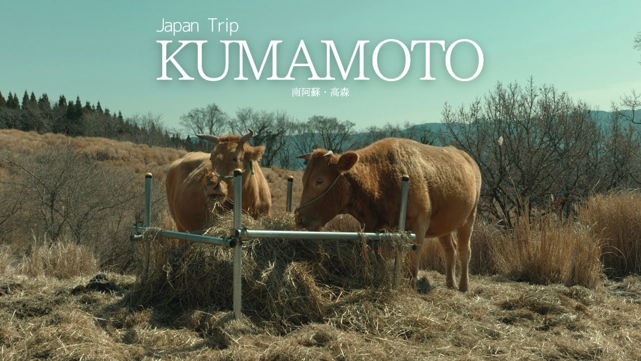 【熊本】熊本の異世界スポットへ｜南阿蘇・高森旅Vlog