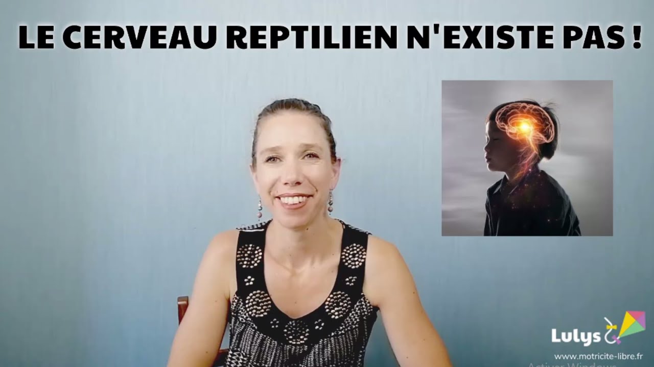 Le cerveau reptilien n'existe pas ! 🐊