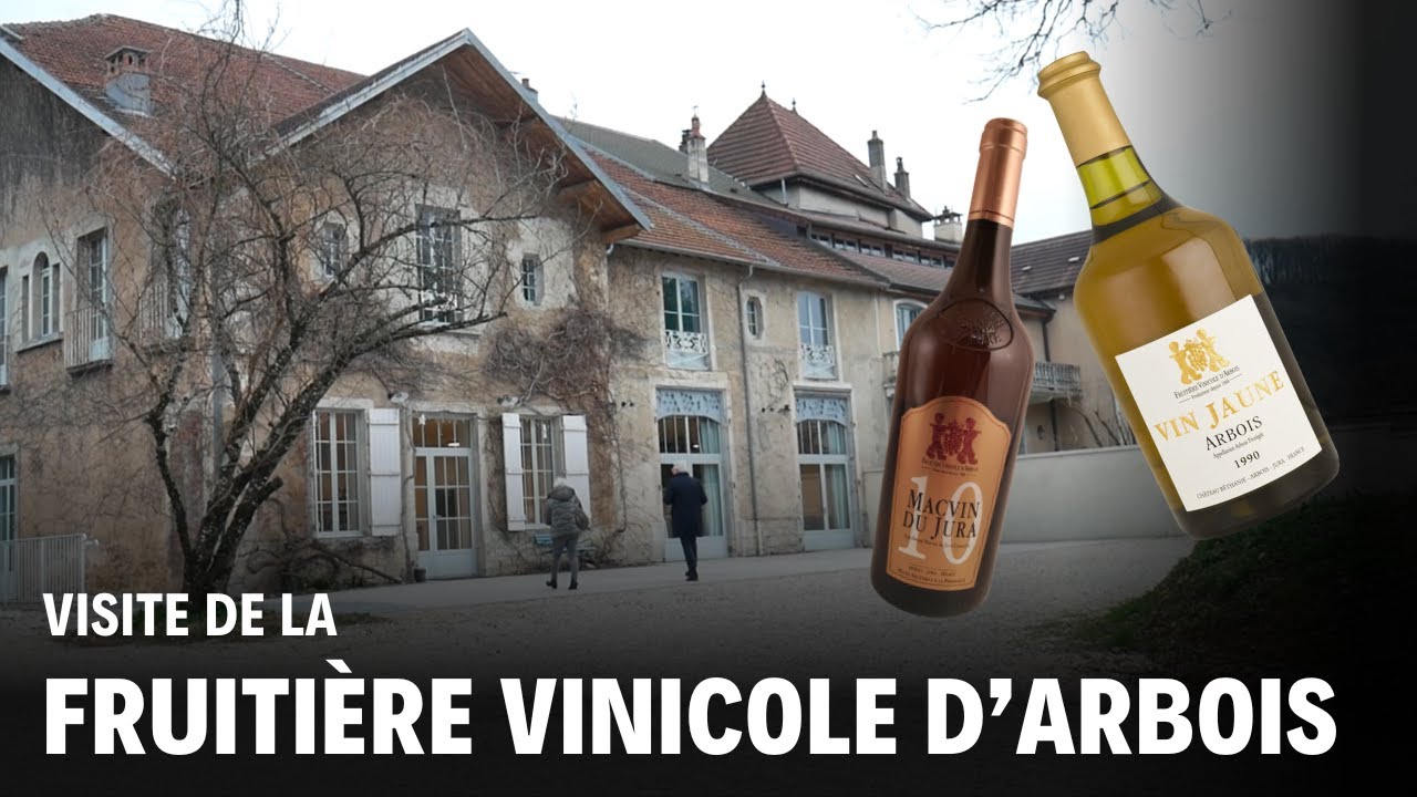 Visite de la fruitière vinicole d'Arbois