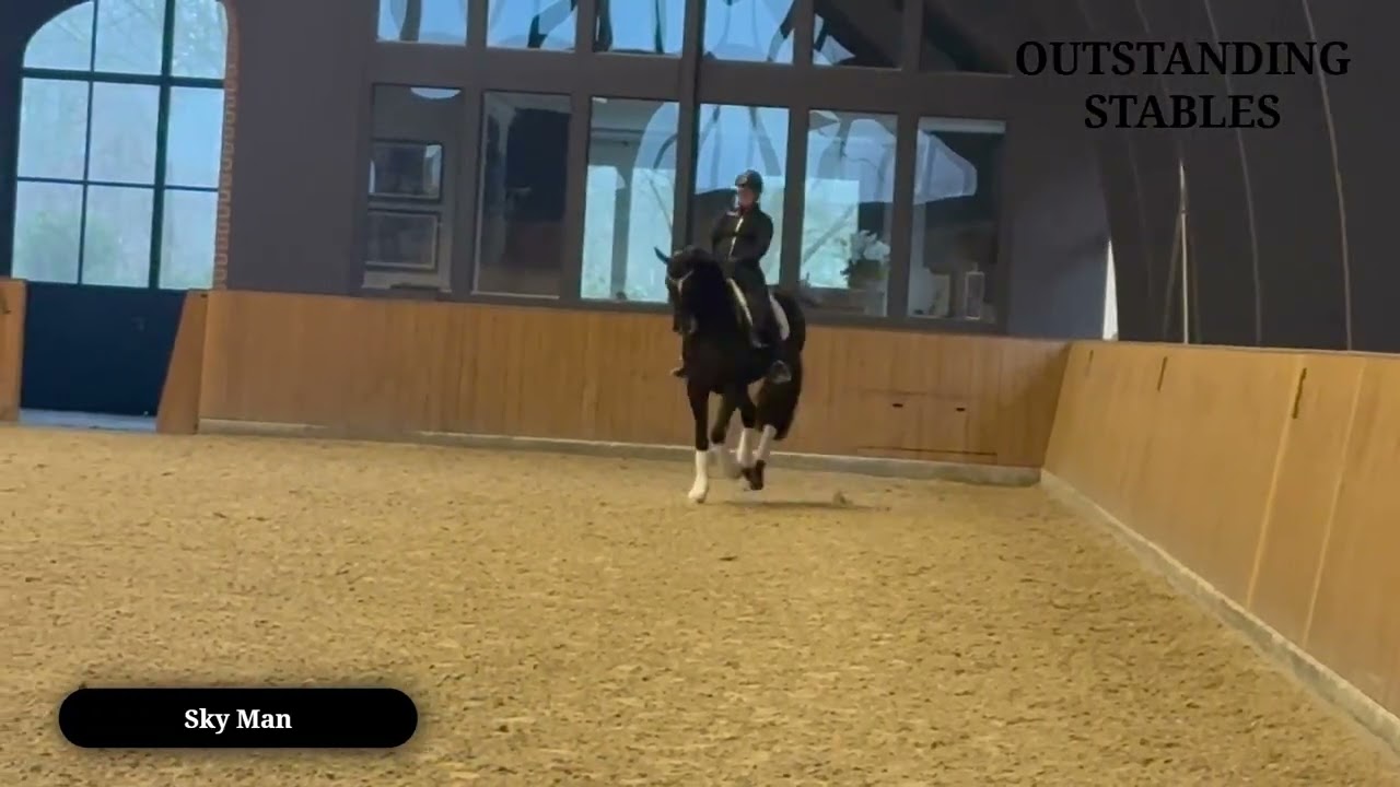 For Sale: Gelding *2014 / Surprice x Samarant