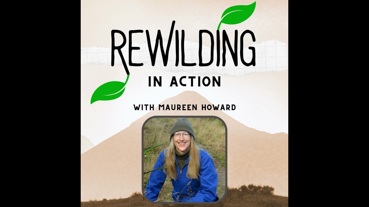 27 - TO FRILL OR FELL, Replacing an exotic plantation with native forest