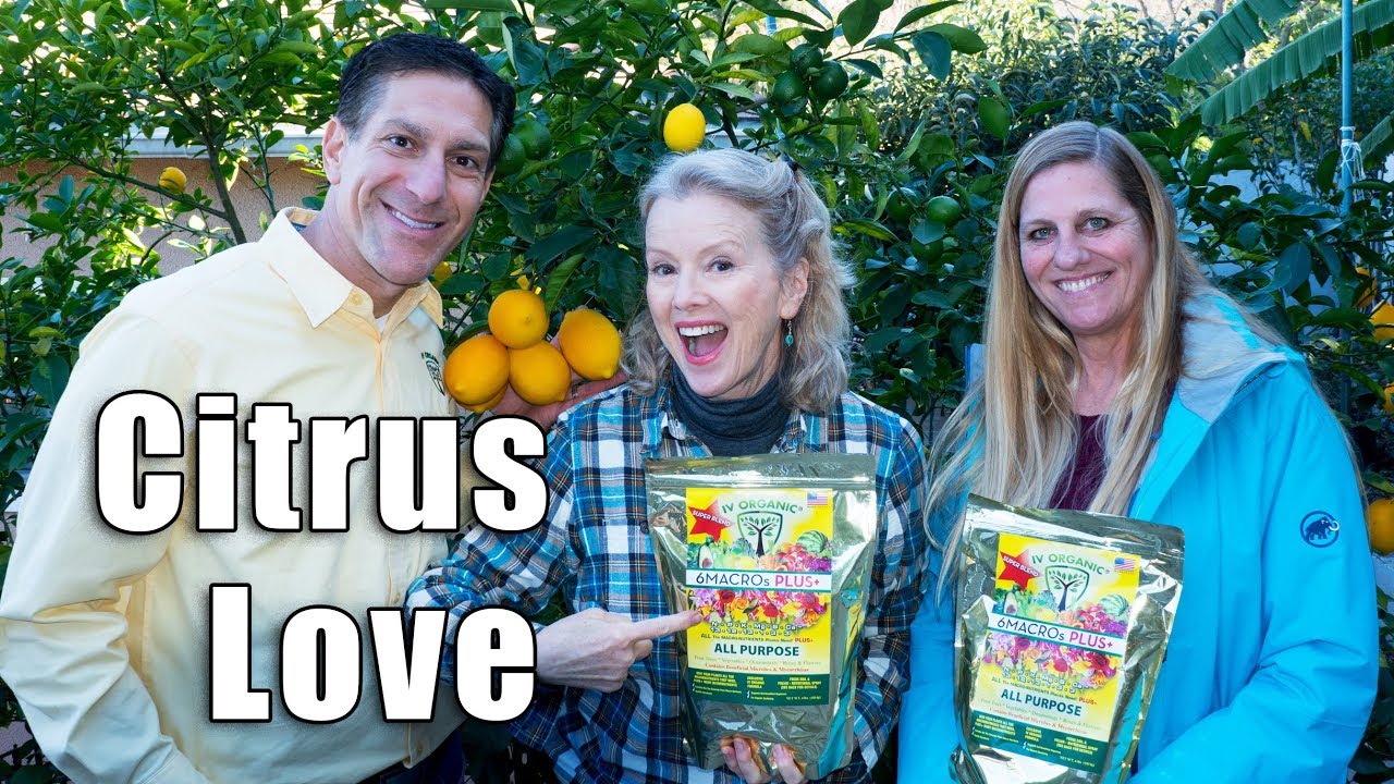 Charles Malki | IV Organic Garden | Hollywood Hills, Kalifornia