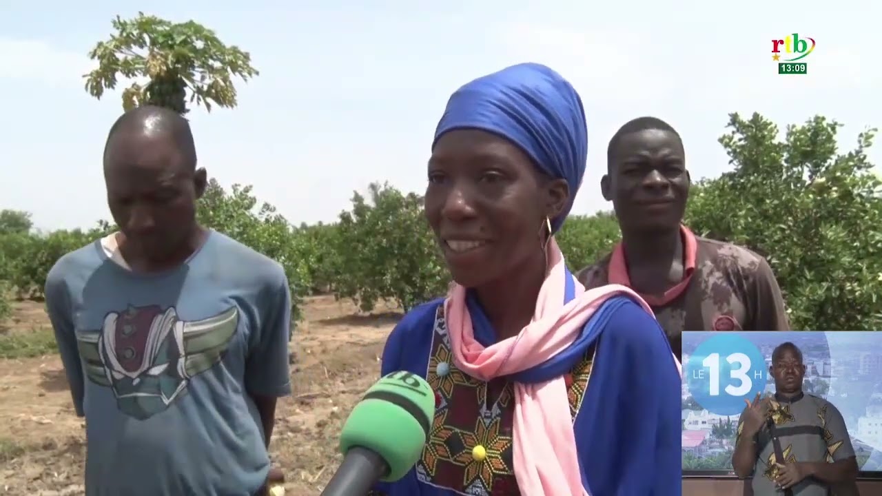 Production de tangelo au Burkina : Boromo, un cas d’école