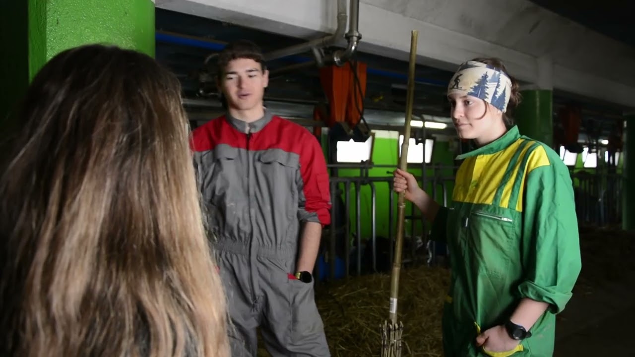 TIEA 2026: Élevage bovin et systèmes d’élevage résilients - Institut Agricole Régional