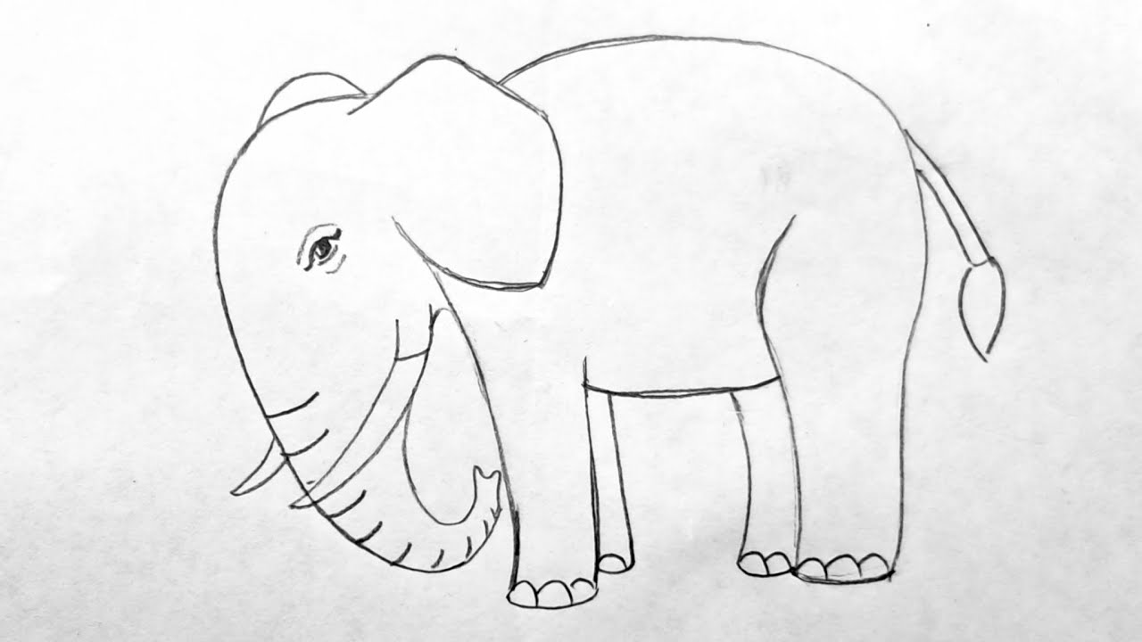 How to draw an elephant 🐘 🤔 | Easy Drawing step by step 