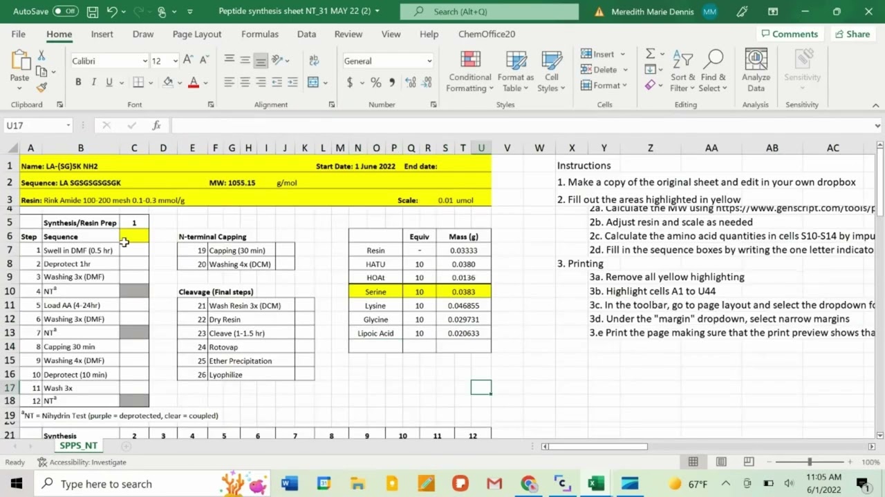 Peptide Hand Synthesis Part 1: Peptide Synthesis Sheet