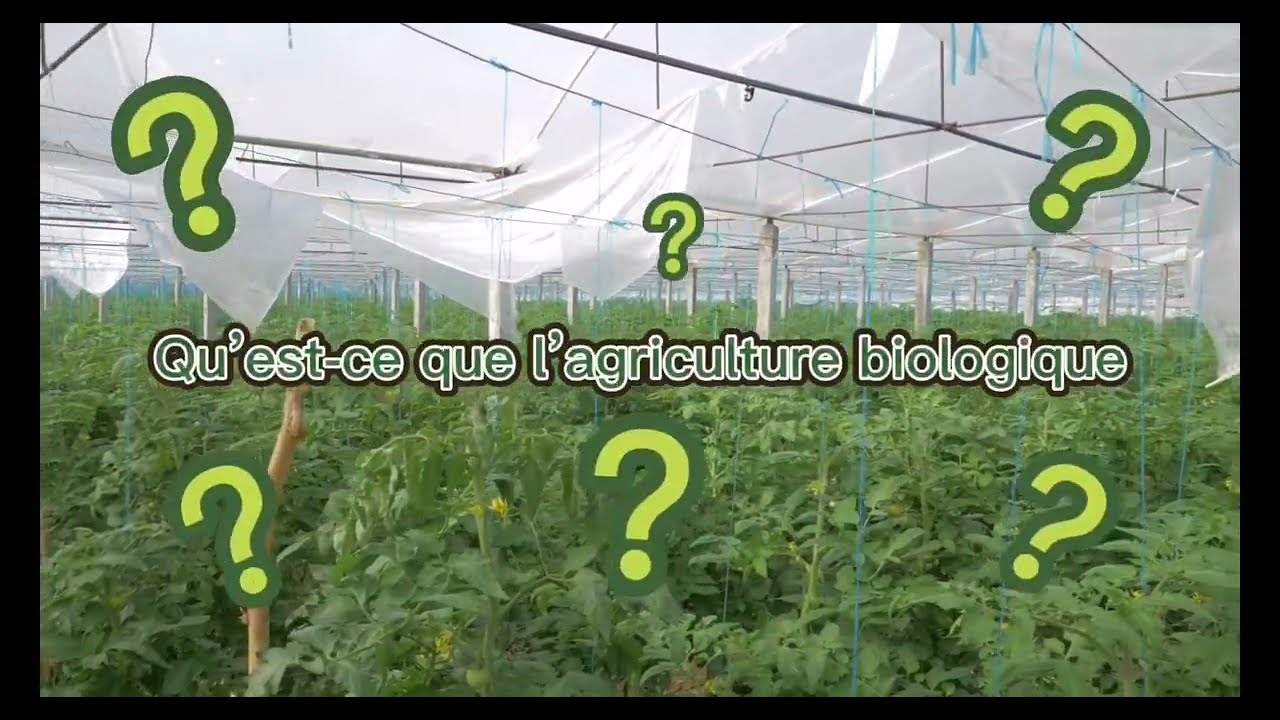 Vidéo 2, Les modes de production : les fruits et légumes, par l'option AET de l'école des Établières