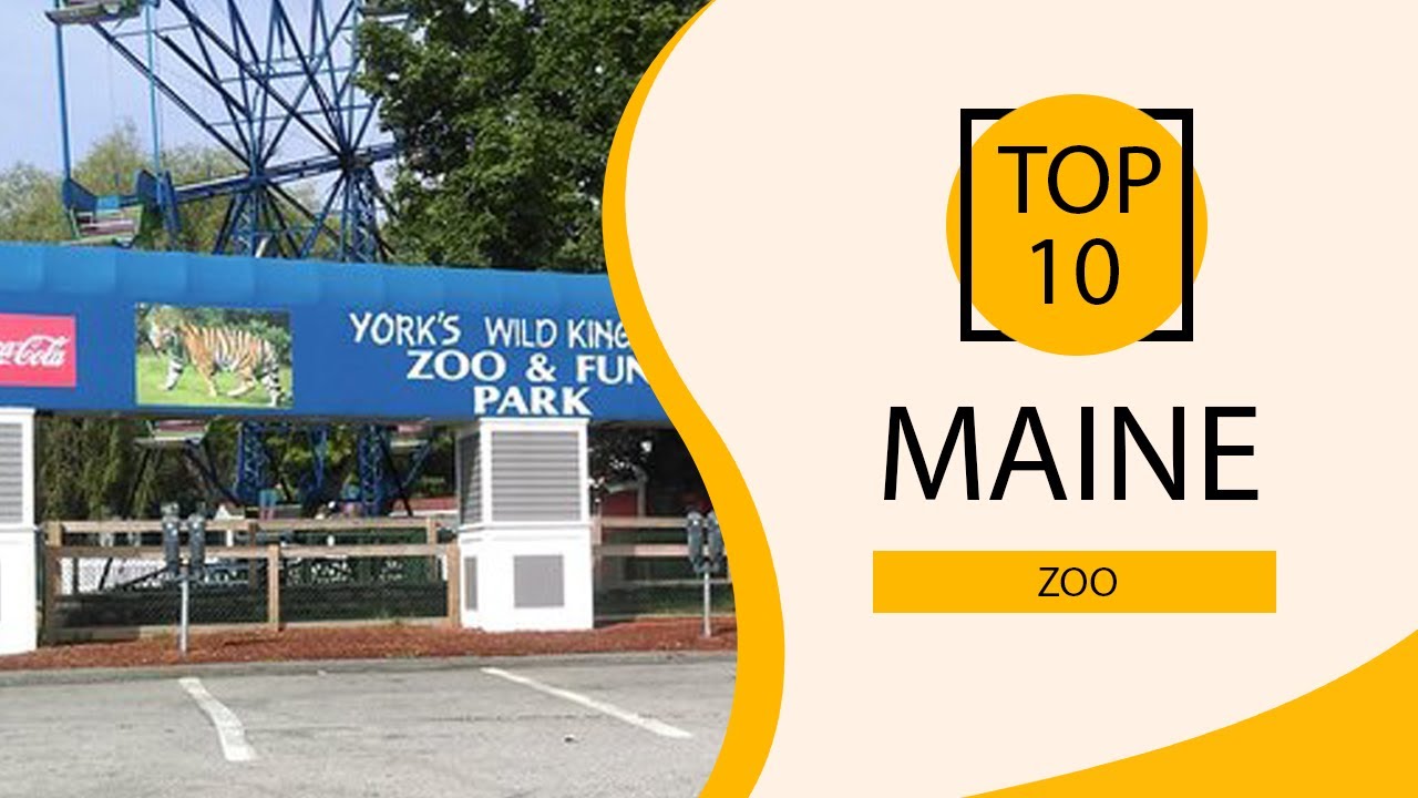Top 10 Best Zoo to Visit in Maine | USA - English