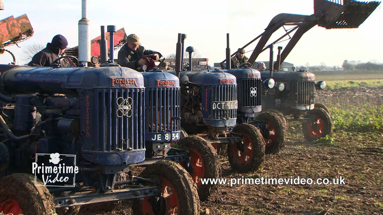 Флот самолетов Fordson E27N Major поднимает кормовую свеклу.