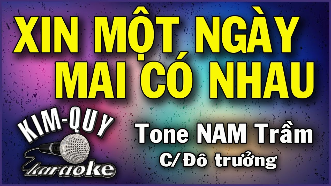 XIN MỘT NGÀY MAI CÓ NHAU - KARAOKE - Tone NAM Trầm ( C/Đô trưởng )