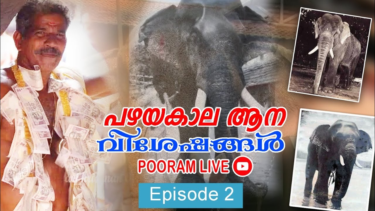 പഴയകാല ആനവിശേഷങ്ങളുമായി തൃത്താല രാമചന്ദ്രൻ നായർ