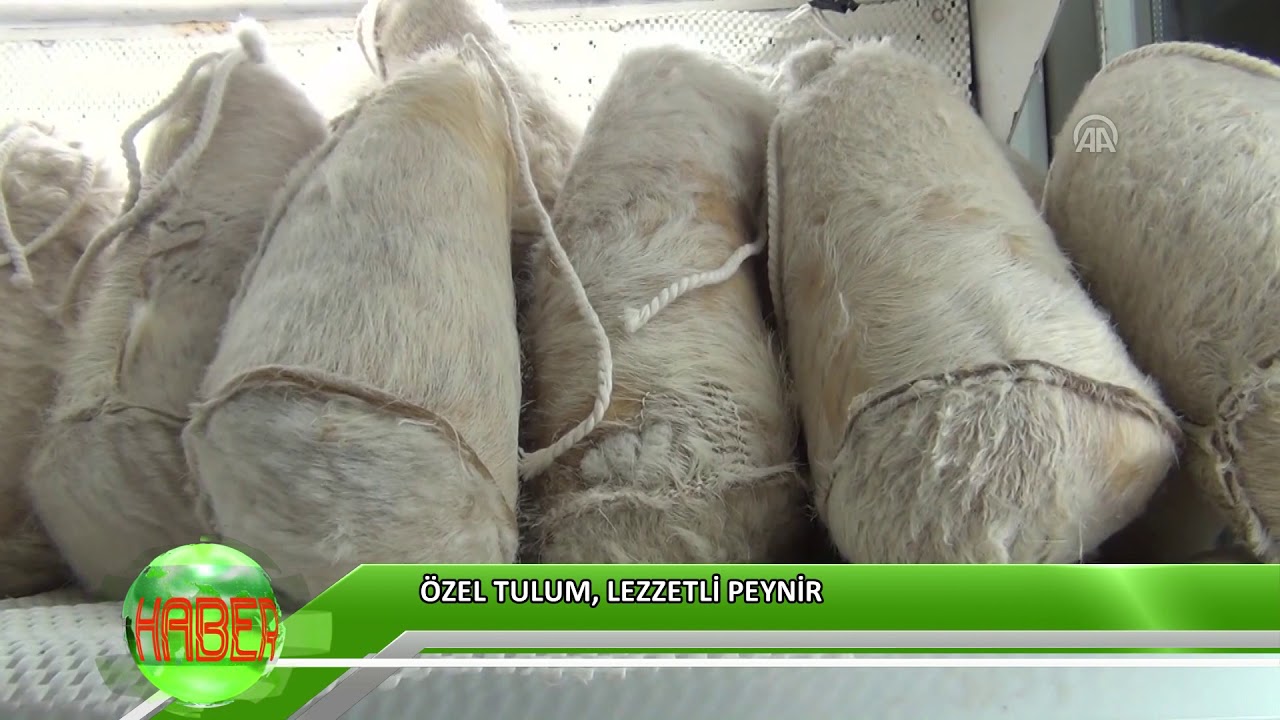 T&uuml;rkiye'nin peyniri Afyonkarahisar'ın tulumuyla lezzetleniyor