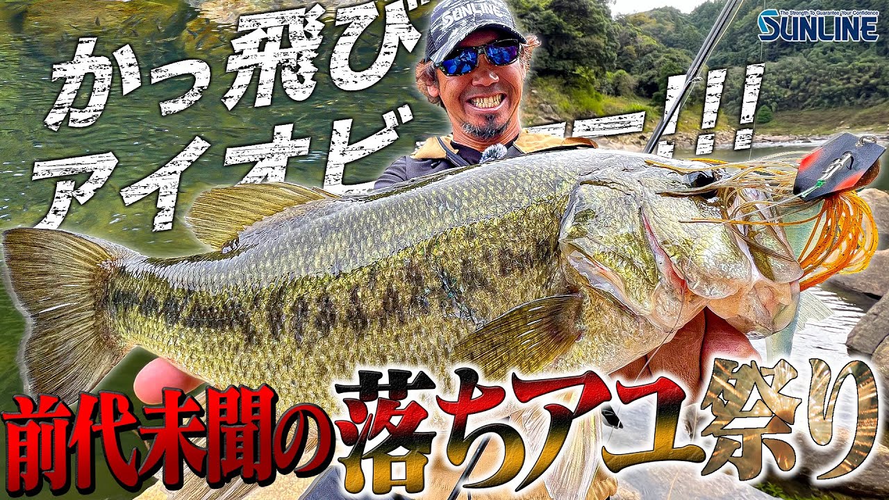 【かっ飛びアイオビーーー!!!】イヨケン伊豫部健 秋の落ちアユ祭りをオカッパリで攻略！