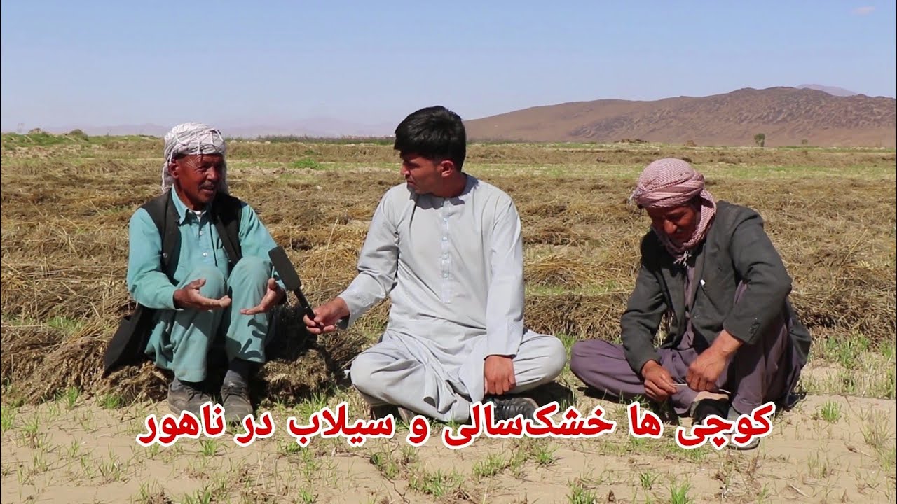جمع آوری میلیون ها افغانی از مردم ناهور برای کوچی ها