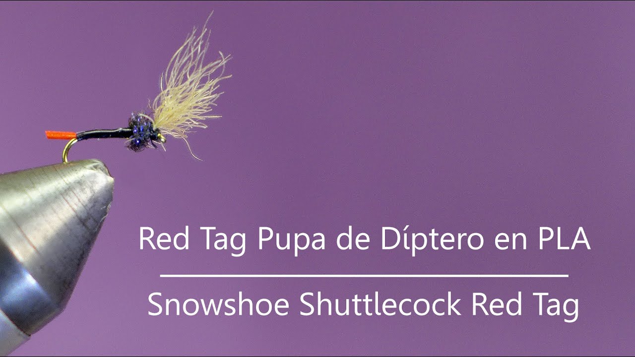 Montaje de una Red Tag Shuttlecock -Pupa de Díptero-