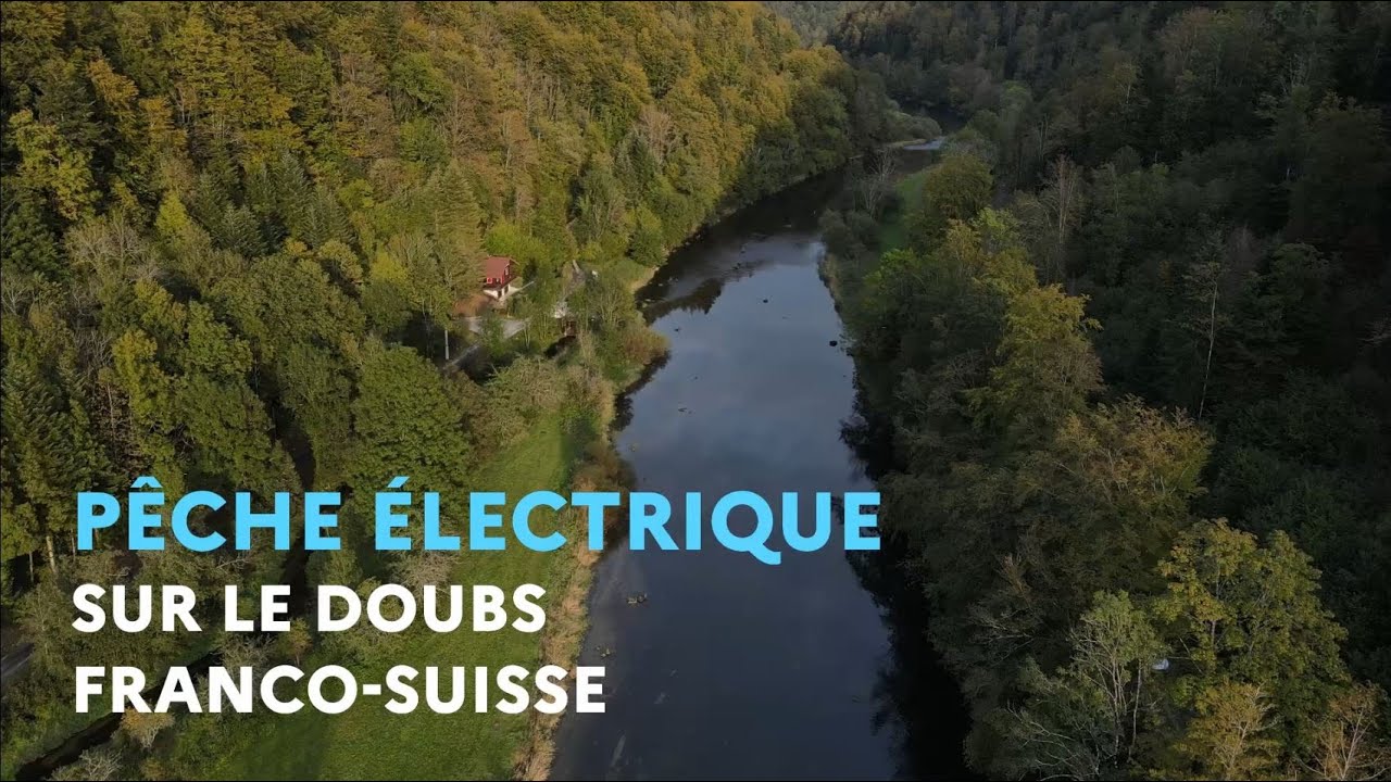 Pêche électrique sur le Doubs franco-suisse