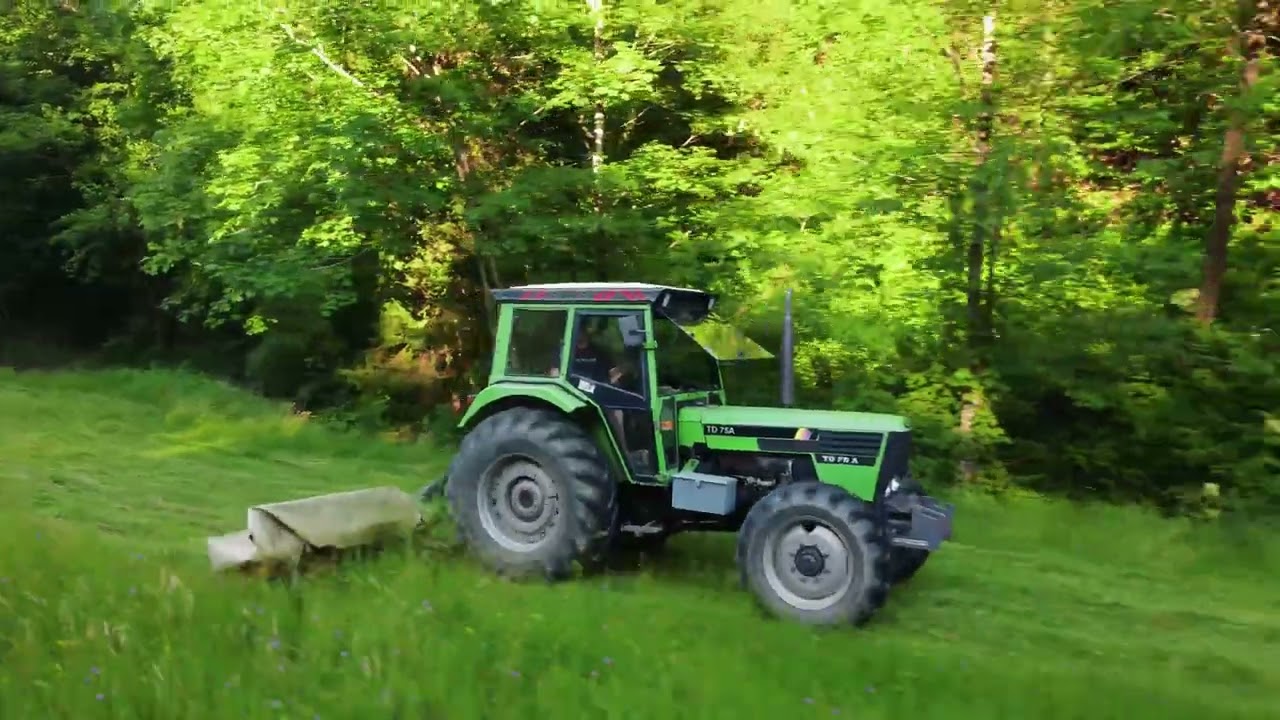 Košnja 2024 | Torpedo 75 | Imt 539 4x4 | BCS 404