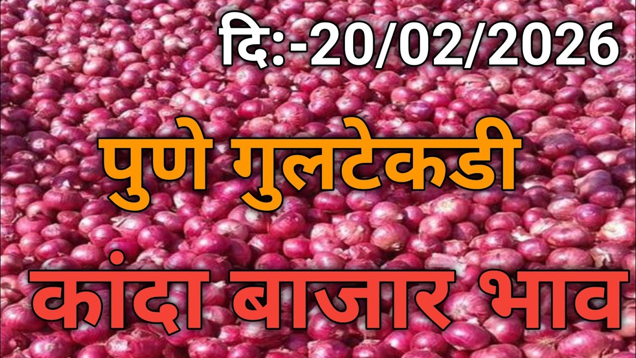 पुणे गुलटेकडी कांदा बाजार भाव | Kanda bajar bhav दि:-20/02/2026