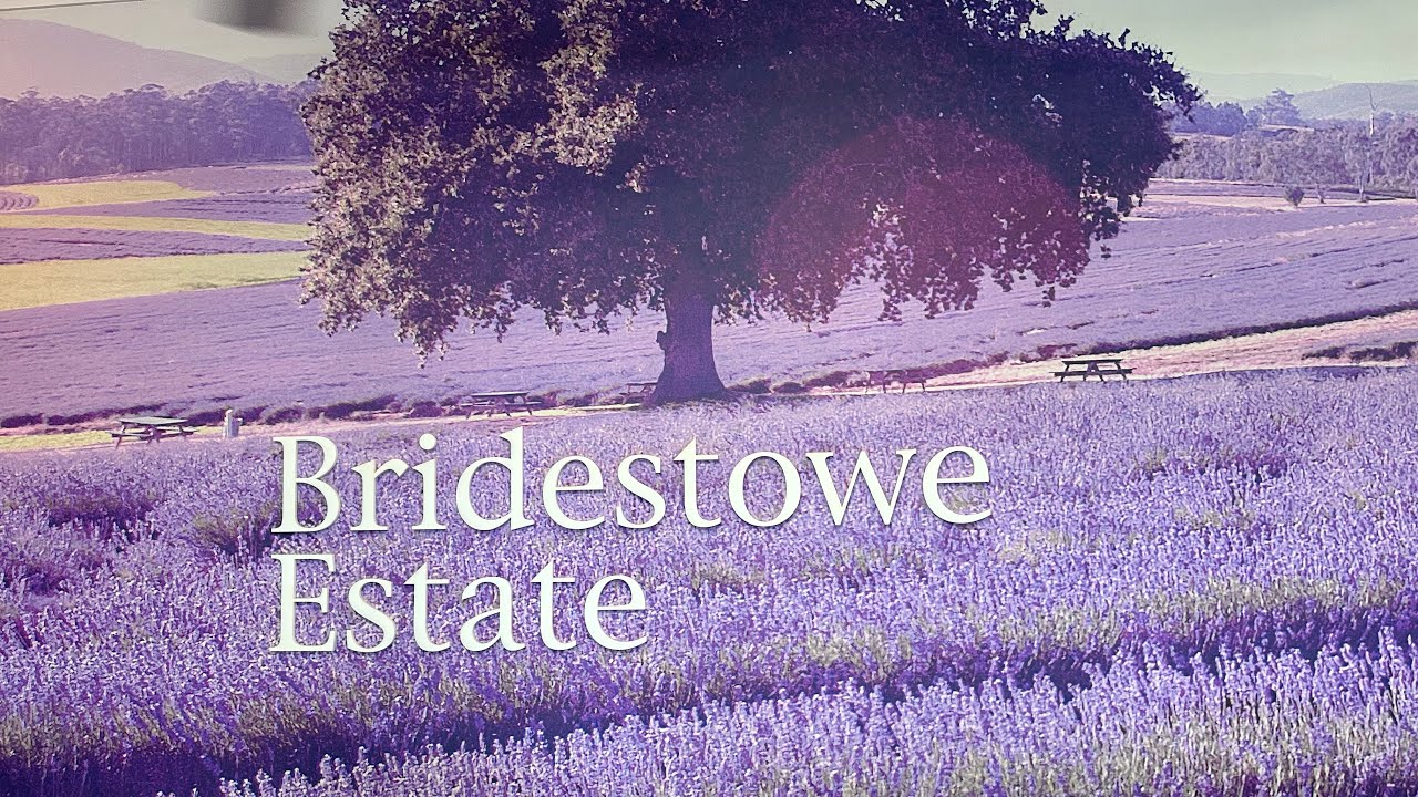 NSE #405 Bridestowe Lavender Estate 