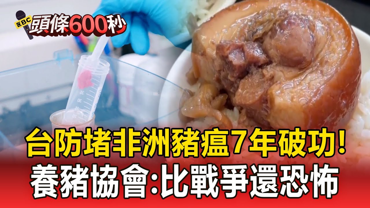 7年防堵破功！台灣本土爆非洲豬瘟 養豬協會：比戰爭還恐怖【頭條600秒】
