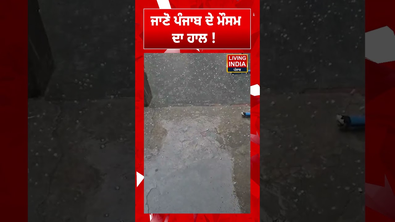 ਜਾਣੋ ਪੰਜਾਬ ਦੇ ਮੌਸਮ ਦਾ ਹਾਲ ! | Punjab Weather | Heavy Rain | Weather Update