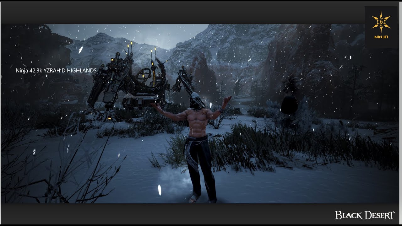 BDO | Succession Ninja | Yzrahid HIghlands 42.3k yellow + agris