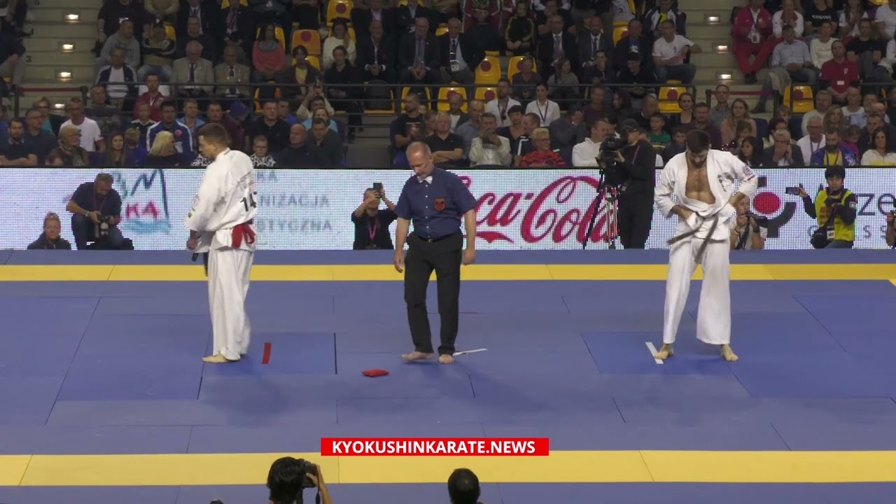 7th WKO WC: 1/4 +85 Eventas Guzauskas (Lithuania, aka) - Marek Wolny (Poland)