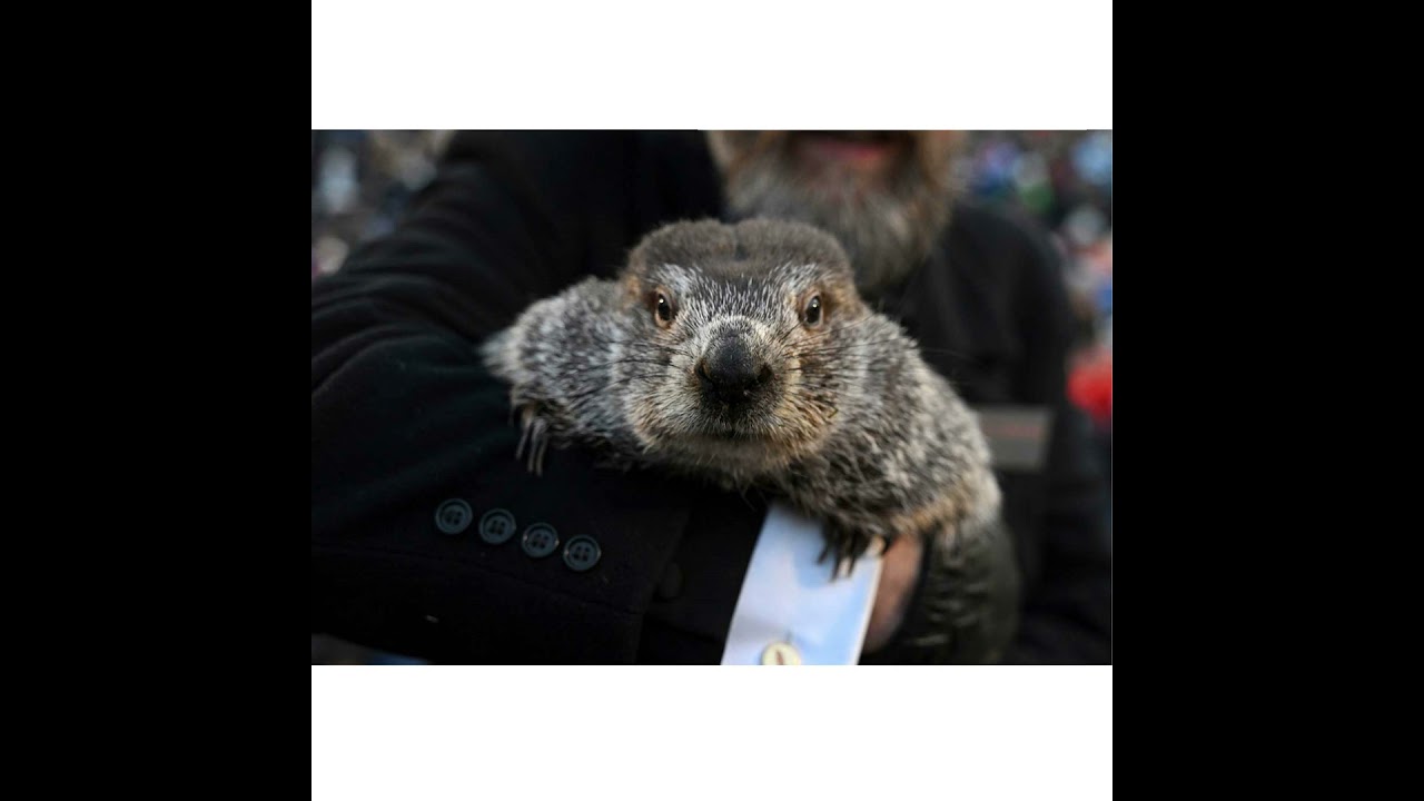 Monday, February 2, 2026 - BOOYA — BOOYA was in the grid! 😀