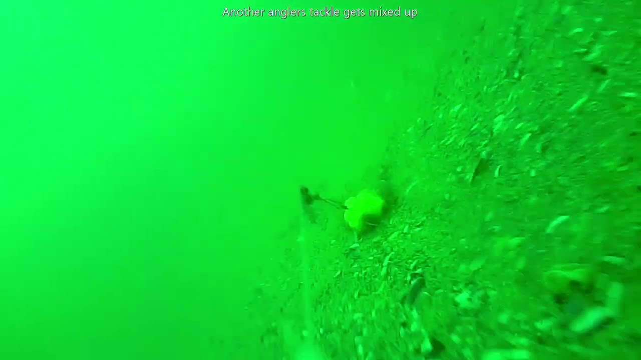 Shambles bank underwater footage of turbot fishing