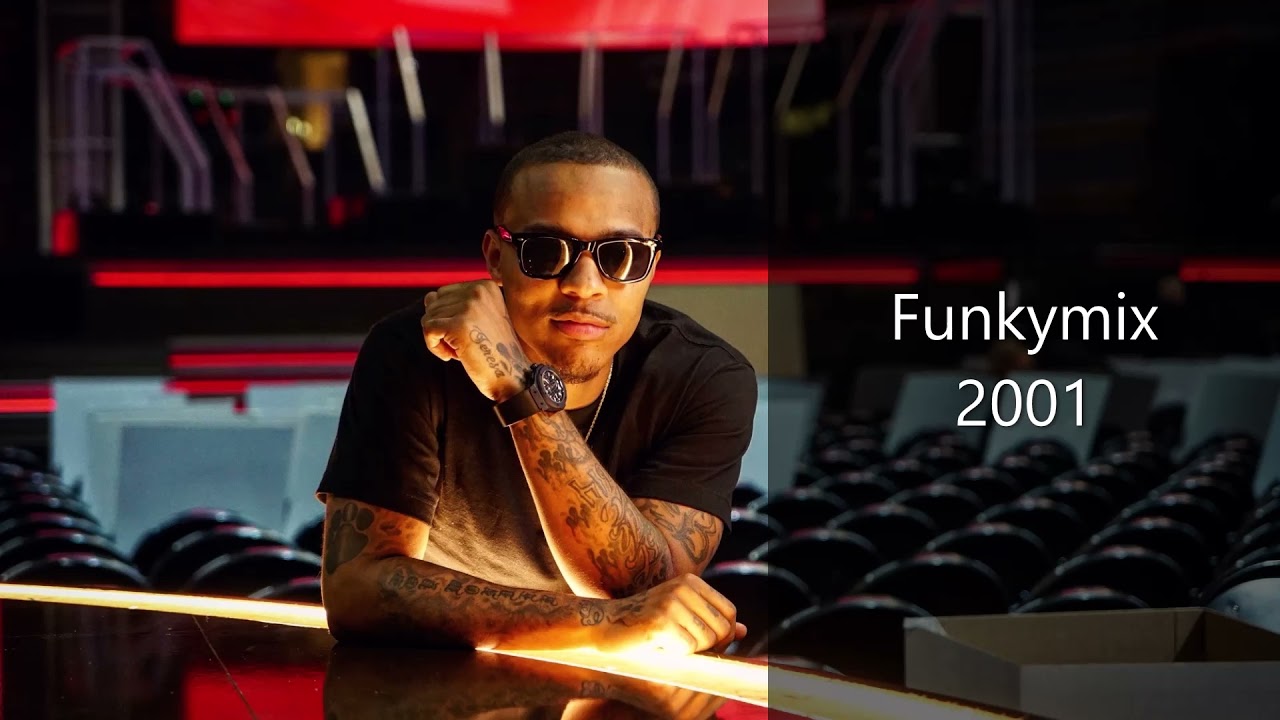 Lil Bow Wow - Take Ya Home ( Funkymix ) HQ audio