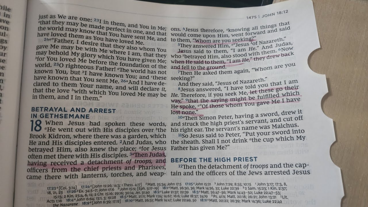 Gospel According to John 18: 1-18-  Pray, Read, Discuss!