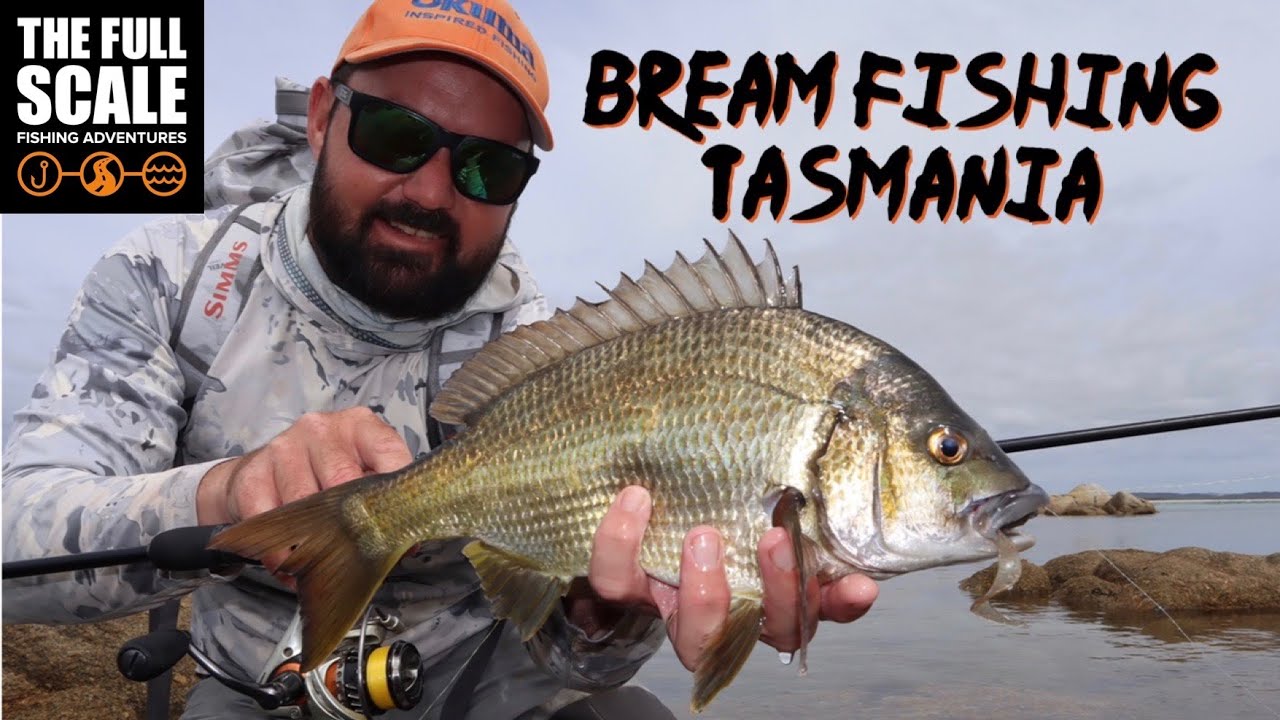 Searching The North | Bream Fishing Tasmania | The Full Scale