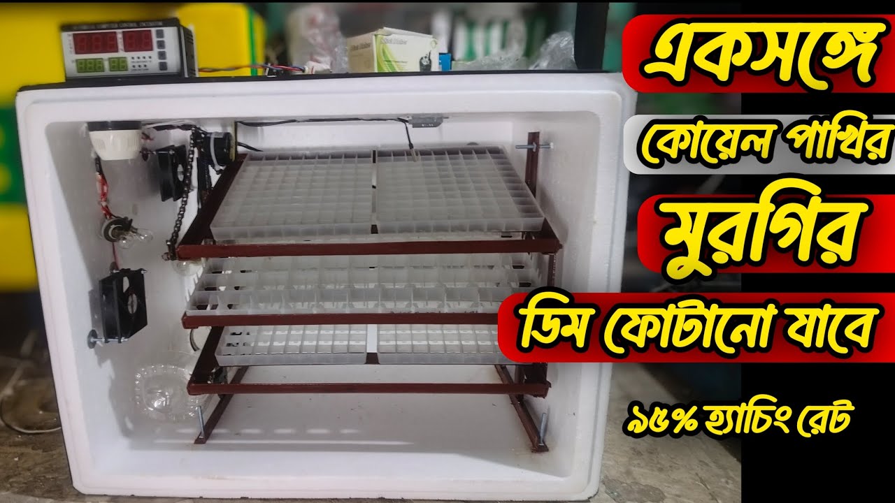 ডিম ফুটানোর ইনকিউবেটর, মুরগির ৩৬৪ ডিমের/ কোয়েল ৯০০ ডিমের ফুল অটো ইনকিউবেটর