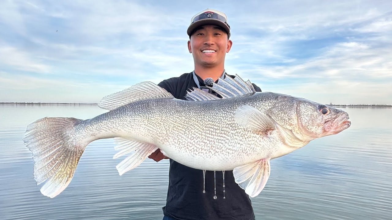 I Fished 3 Days for GIANT Walleyes! (CATCH CLEAN COOK)