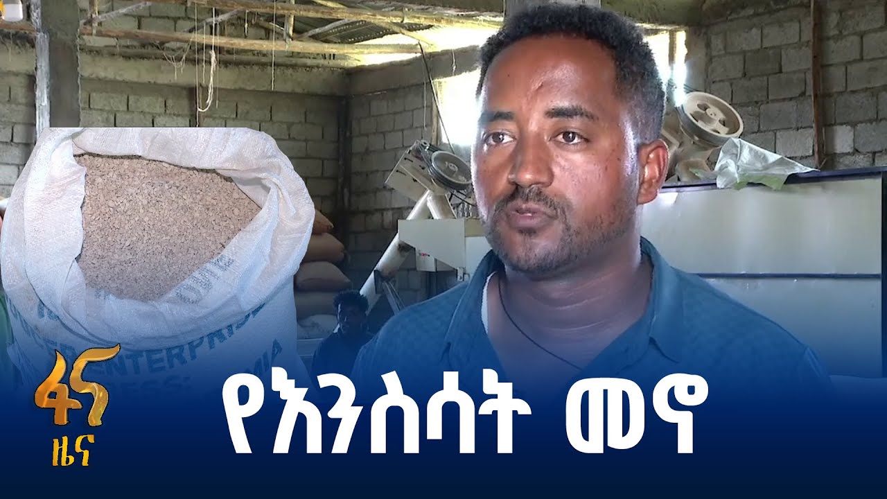 የእንስሳት መኖ አቅርቦት