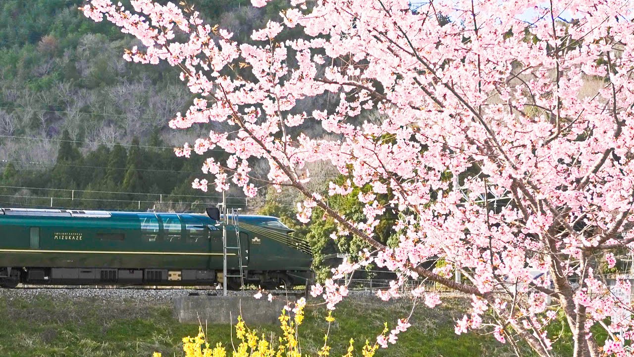 ４Ｋ版 87系トワイライトエクスプレス瑞風 船岡駅前 20250404　Twilight Express Mizukaze 04Apr2025 Funaoka Station front 4Kver.