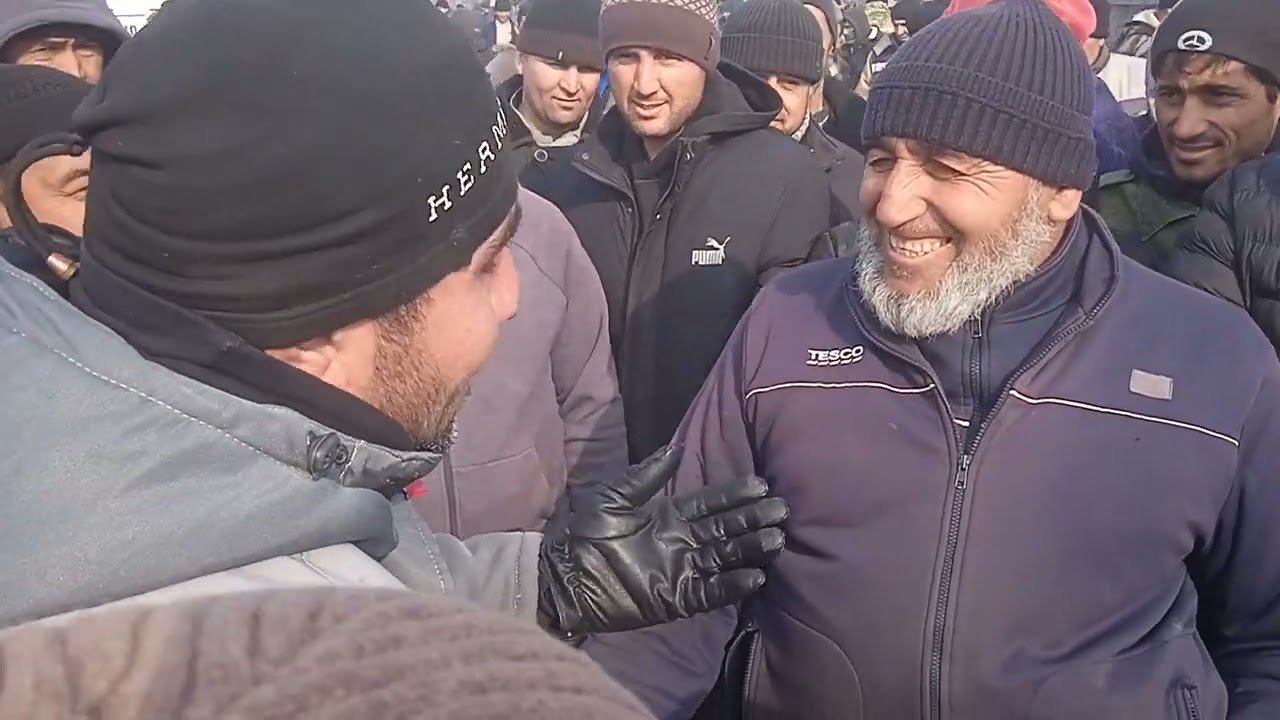 МОЛ БОЗОРИ КУМСАНГИР