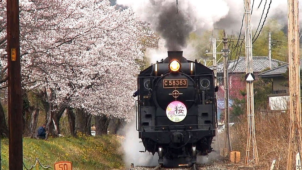 C58 363復活！ SLパレオエクスプレス 2013春　さくら咲く秩父路をゆく