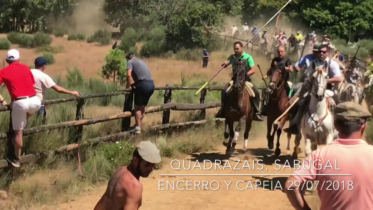 Encerro y Capeia Quadrazais 2018