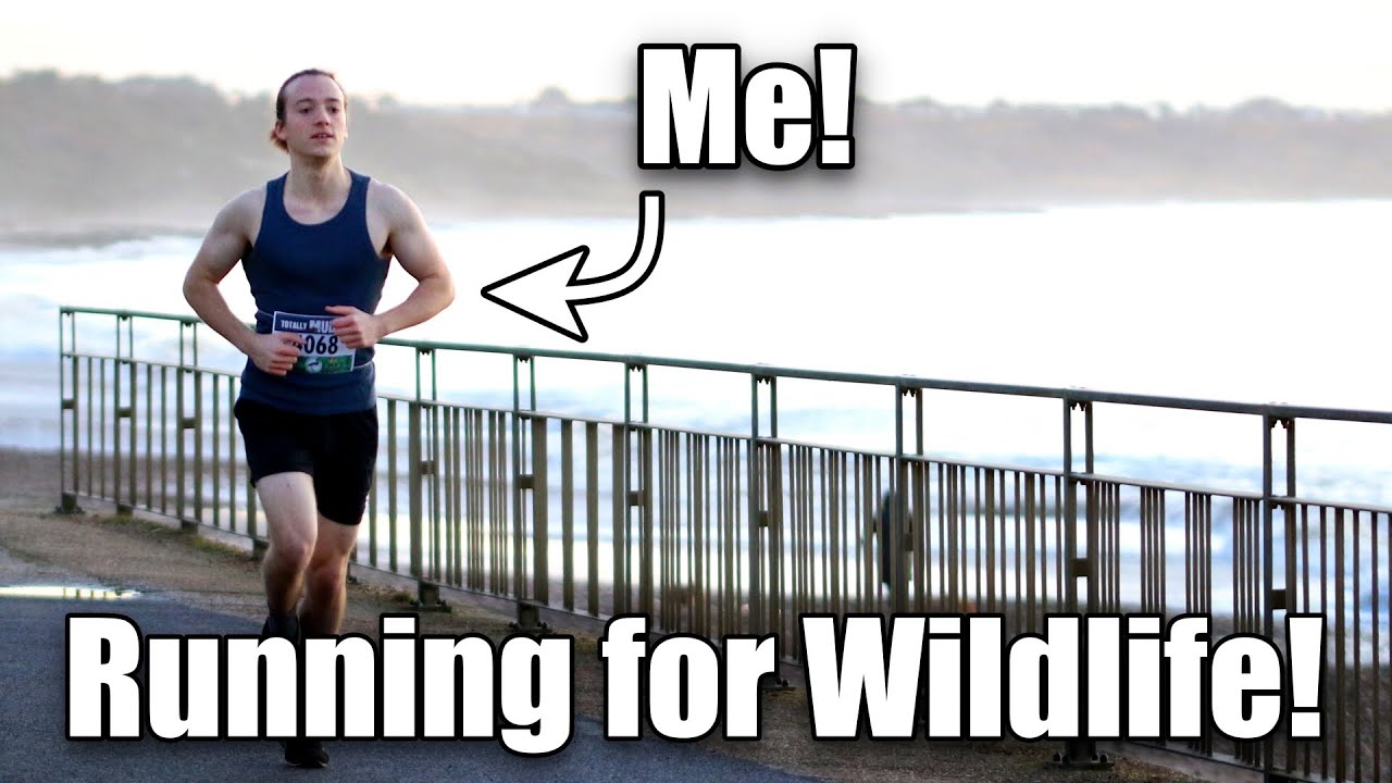 Running 10k for Wildlife - Raising Money for Brent Lodge Wildlife Hospital!