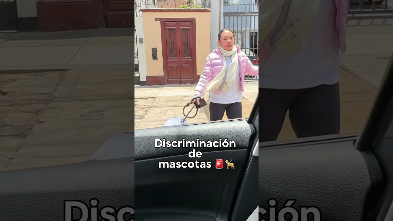 Único taxi para mascotas en Lima Perú con conductoras mujeres 